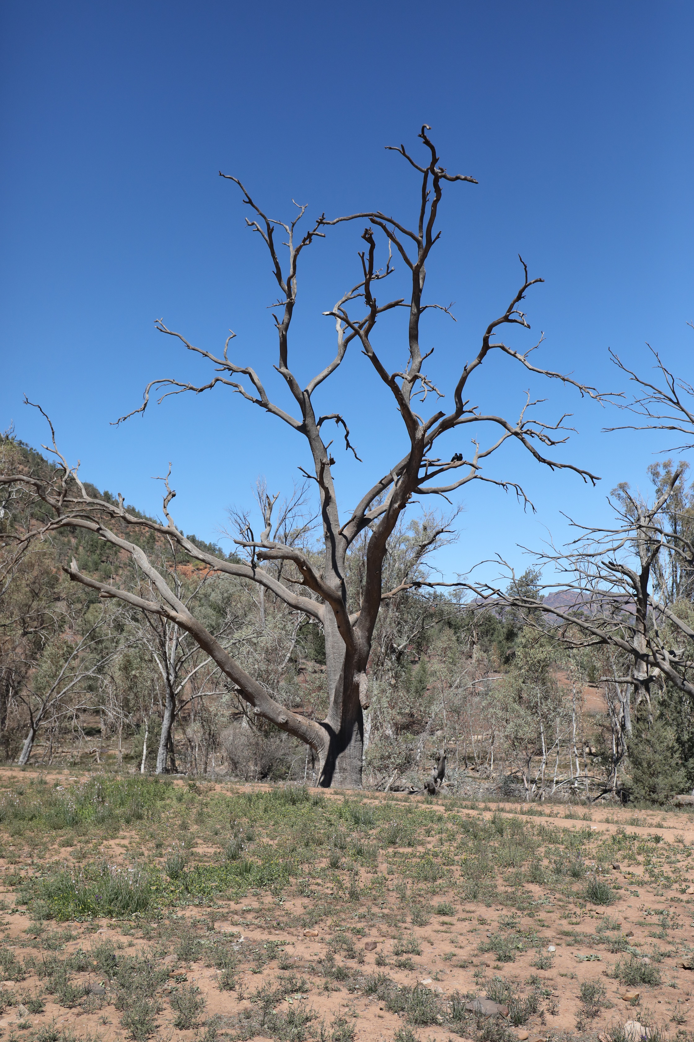 2019 09 01 11 58 29 Canon EOS 5D Mark IV 0012